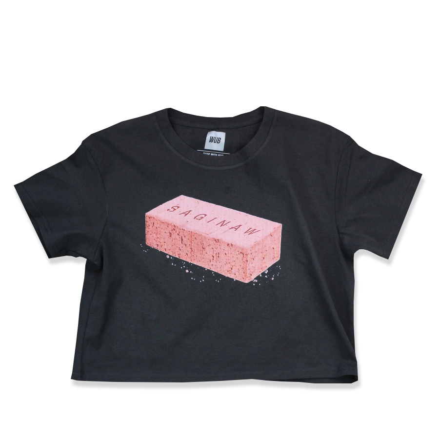 SAGINAW BRICK CROP - COAL