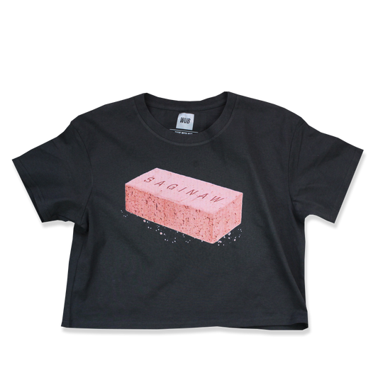 SAGINAW BRICK CROP - COAL